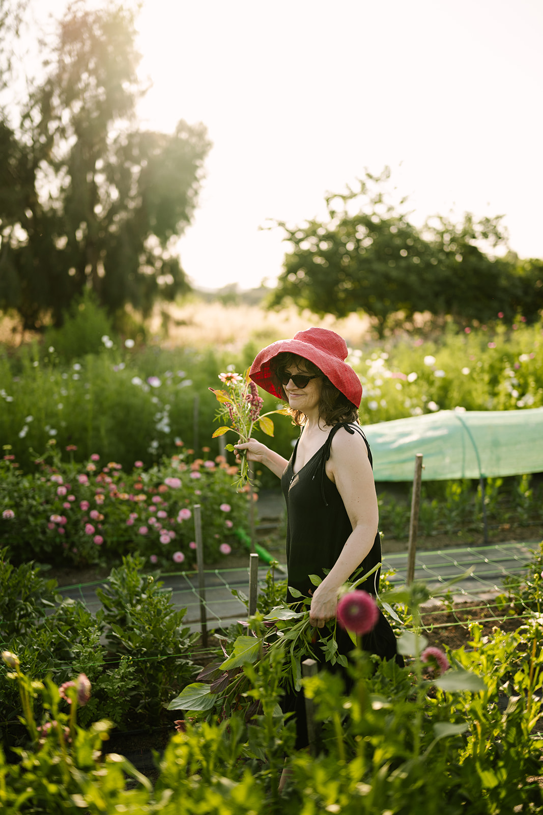 Horta de la Viola | Yolanda Bustos