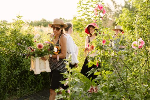 Taller de Arte Floral con Floral Atelier 8.08.2026