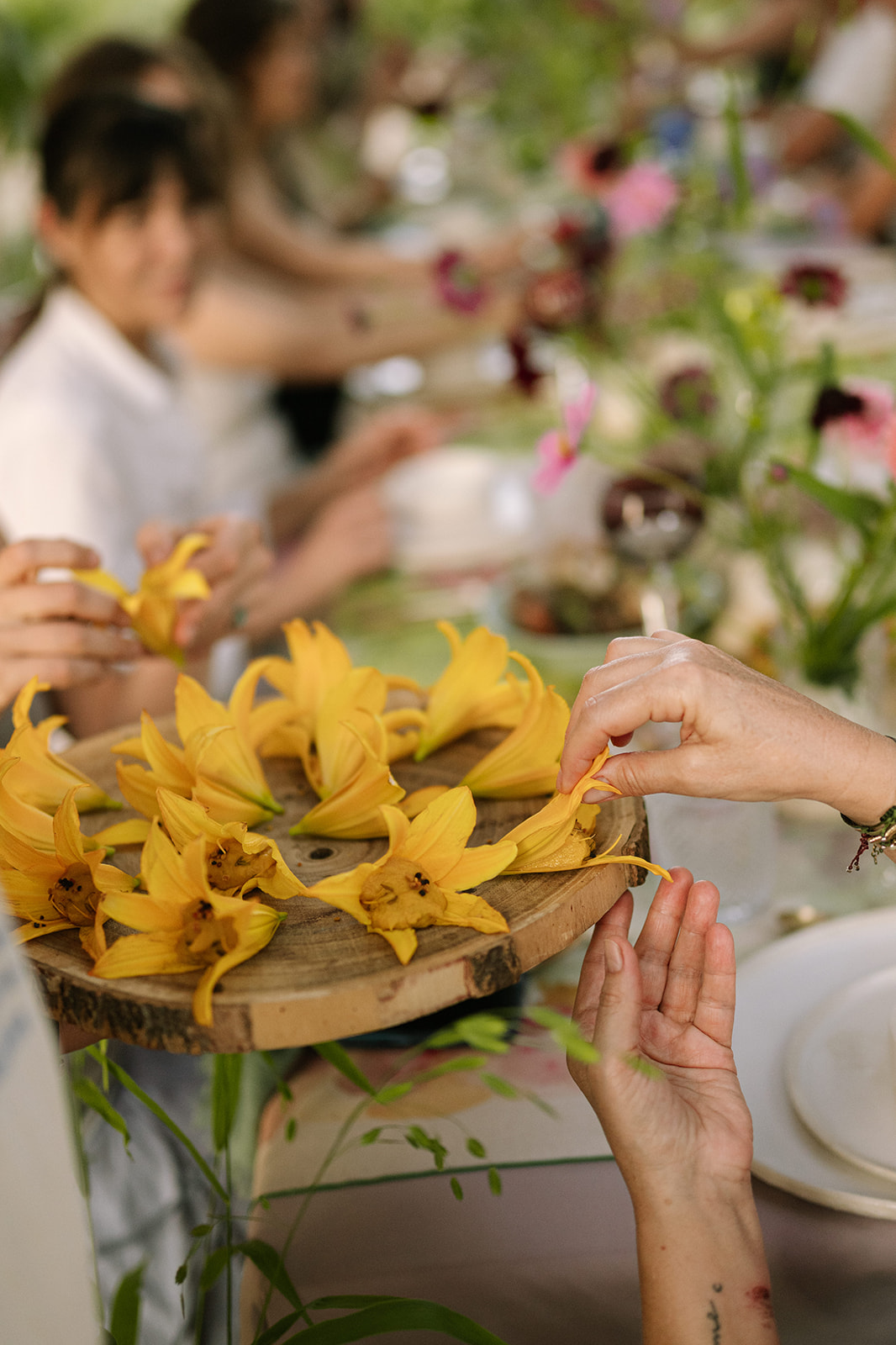 Horta de la Viola | Yolanda Bustos