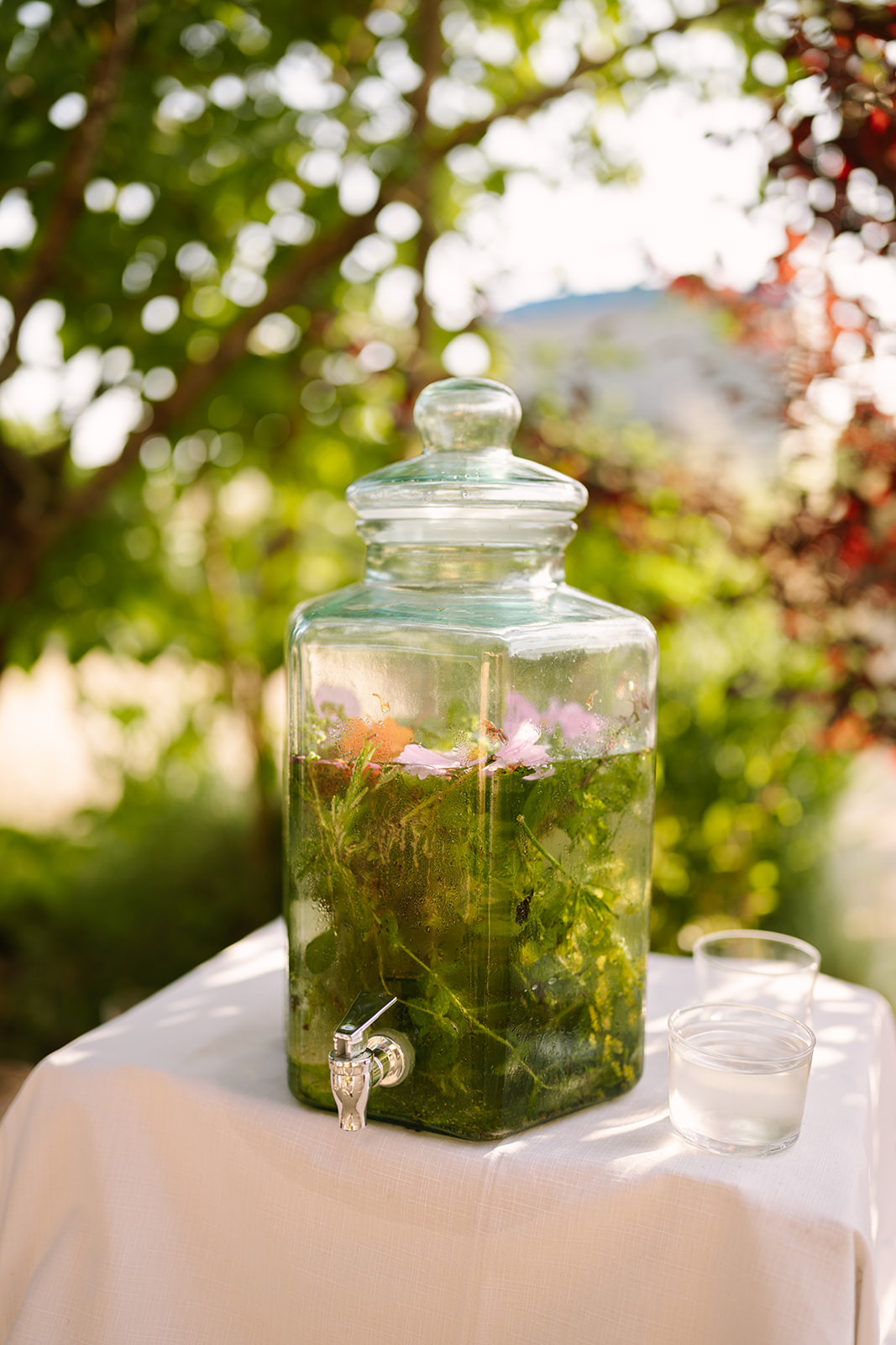 Horta de la Viola | Yolanda Bustos