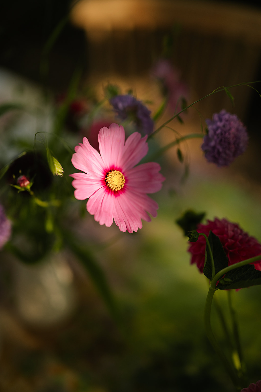 Horta de la Viola | Yolanda Bustos