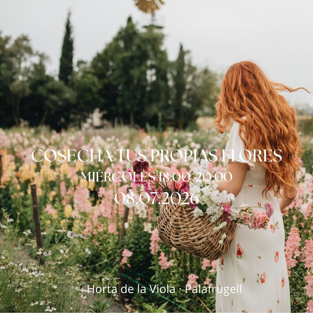 Experiencia Cosecha tus propias flores 08.07.2026
