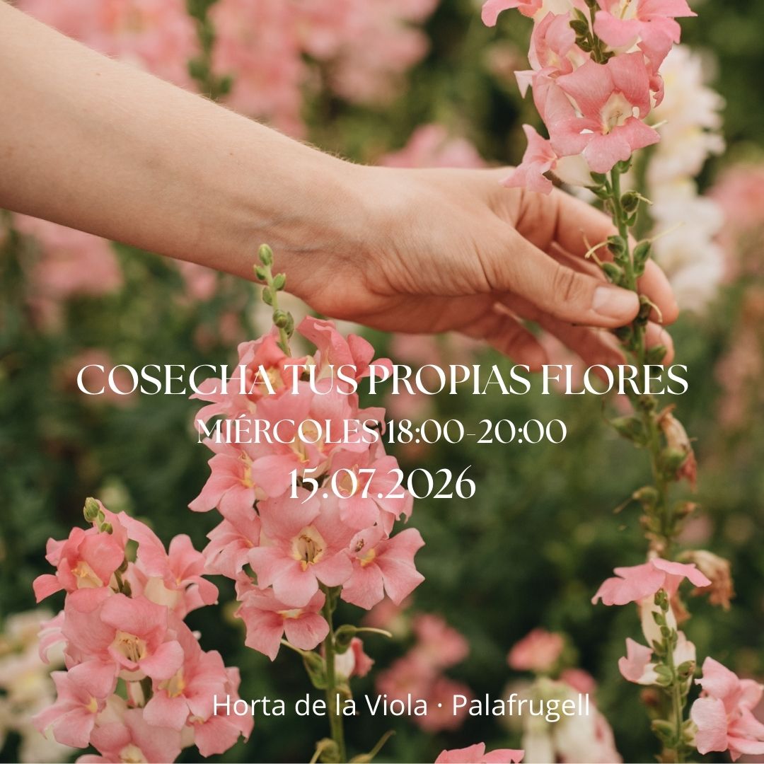 Experiencia Cosecha tus propias flores 15.07.2026