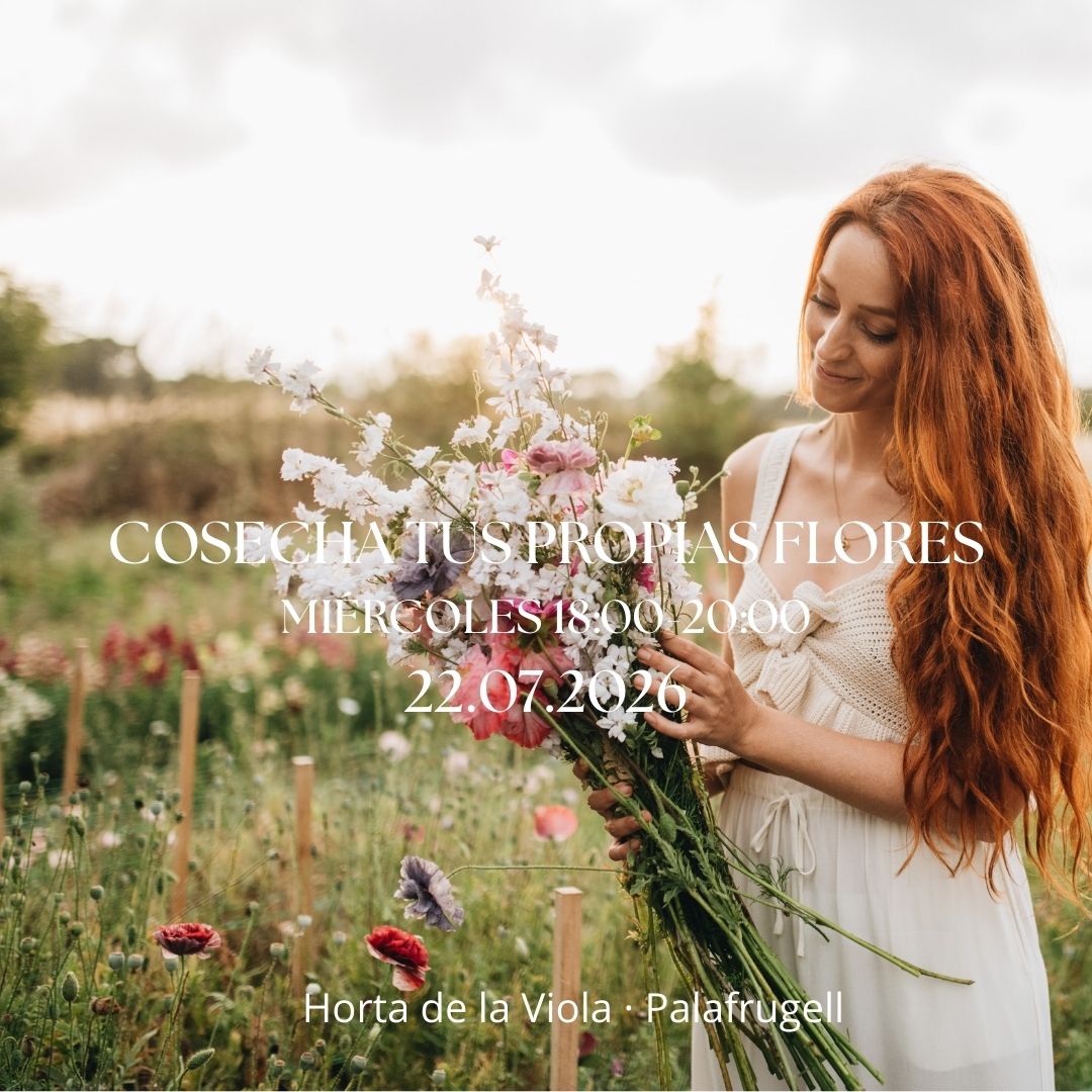 Experiencia Cosecha tus propias flores 22.07.2026