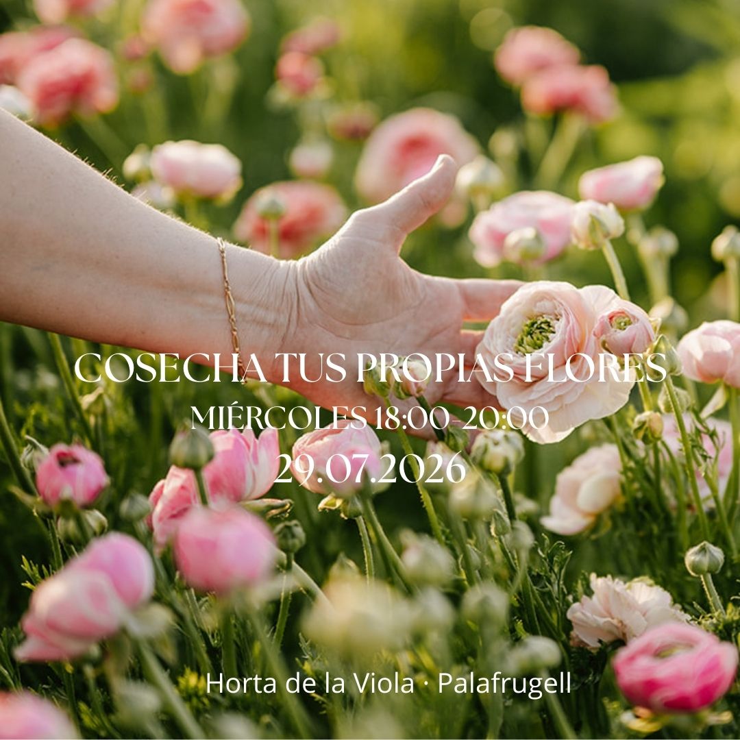 Experiencia Cosecha tus propias flores 29.07.2026