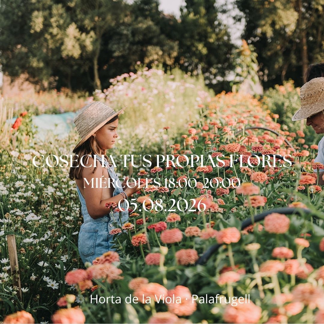 Experiencia Cosecha tus propias flores 05.08.2026