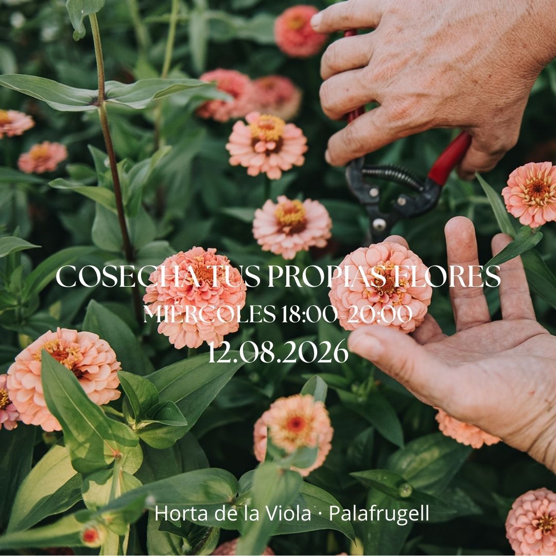 Experiencia Cosecha tus propias flores 12.08.2026