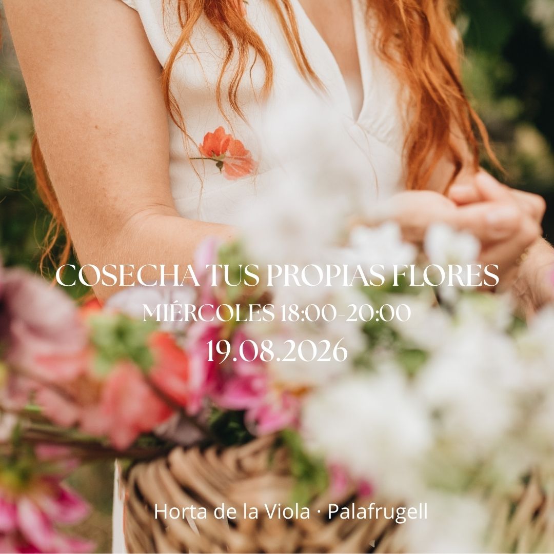 Experiencia Cosecha tus propias flores 19.08.2026